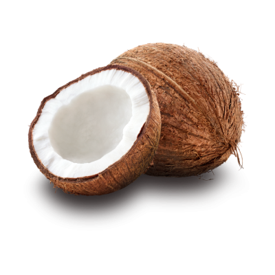 Coconut