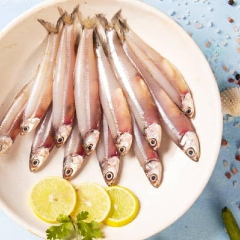 Anchovy white
