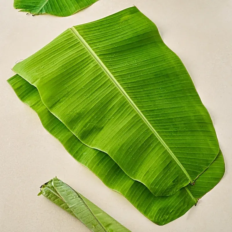Banana leaves