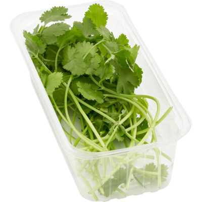 Coriander jumbo