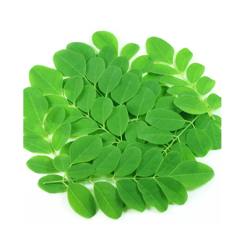 Drum stick leaves small