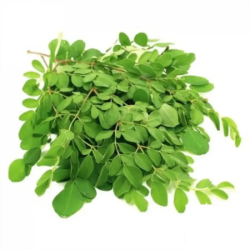Drumstick leaves packt