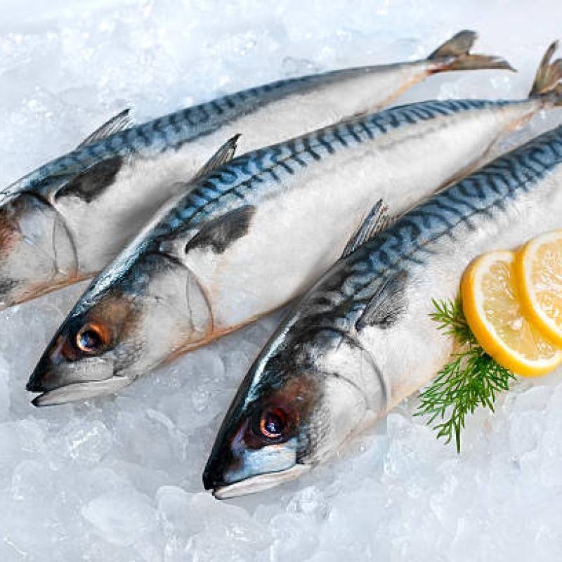 Fresh fish