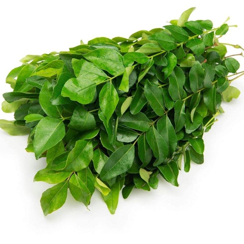 Fresh masala leaves big