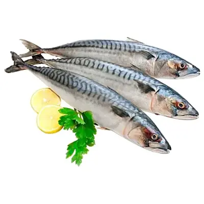 Froz dd mackerel whole 700 g