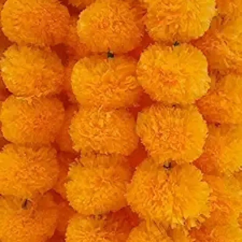 Garlands marigold plastic