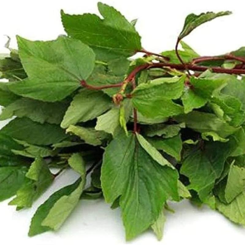 Gongura leaves