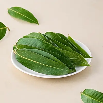 Mango leaves