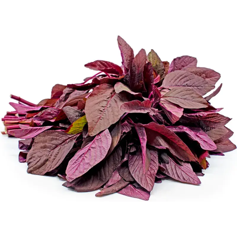 Red spinach