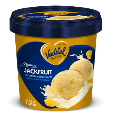 Vadilal jack fruit