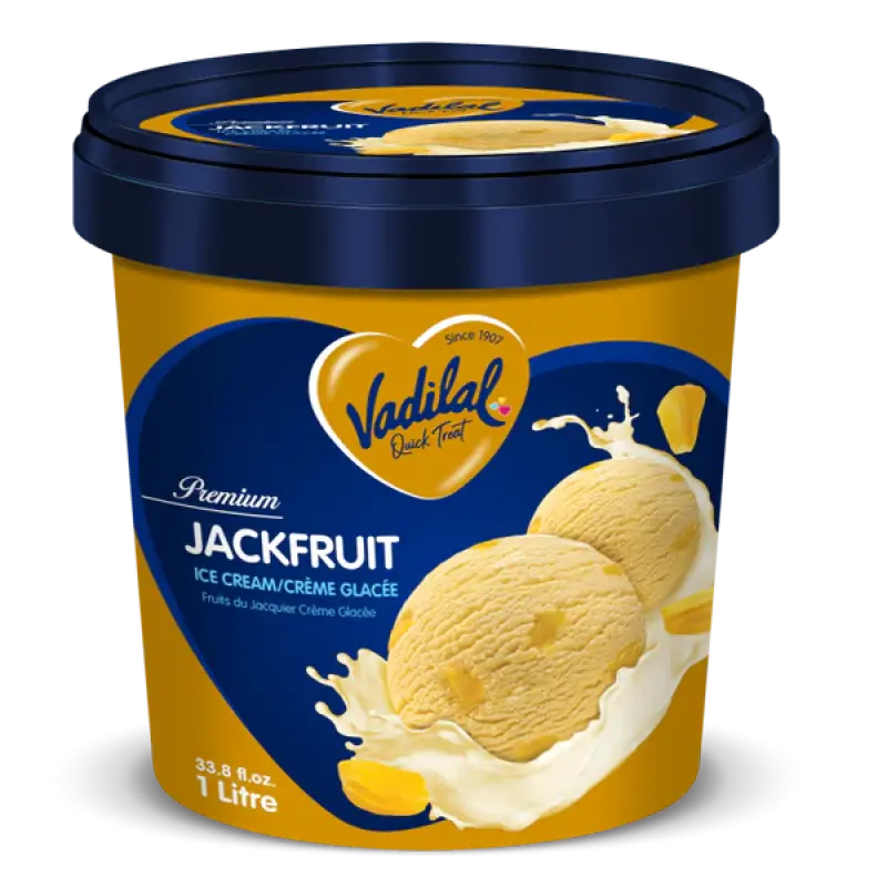 Vadilal jack fruit